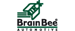 logo Brain Bee Ibérica SA