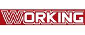 logo Working SA