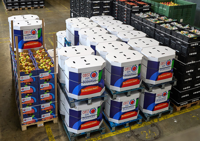 Foto Informe de aplicación. Cuando las manzanas se van a nadar.