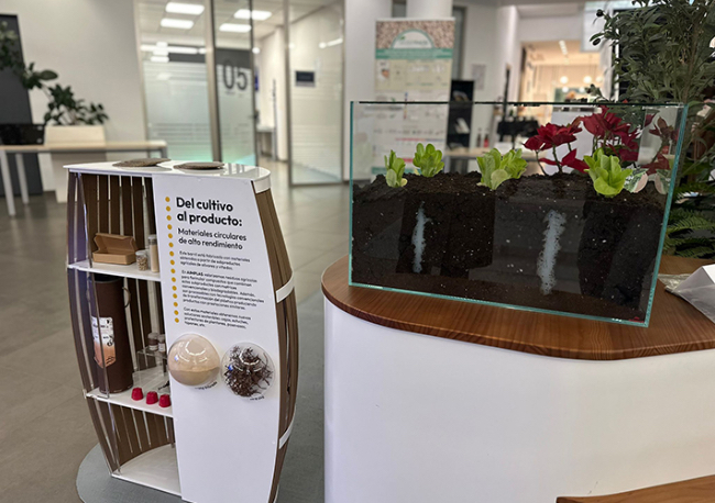 Foto AIMPLAS reúne a más de 150 especialistas en biopolímeros para debatir sobre regulación, certificación e innovación.