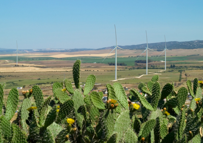 Foto Statkraft repotenciará dos parques eólicos en Cádiz, reduciendo en más de 70% el número de aerogeneradores.