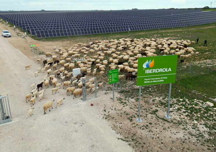 foto noticia Iberdrola recibe el Sello de Excelencia en Sostenibilidad UNEF por la fotovoltaica de Revilla-Vallejera.