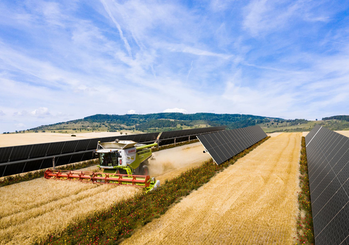 foto El parque solar Alhendín, que combina agricultura y cuidado de la biodiversidad, empieza a suministrar energía al Grupo VELUX.