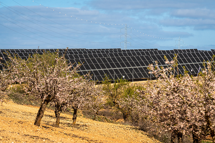 foto noticia SONNEDIX FIRMA UN ACUERDO CON VW KRAFTWERK GMBH PARA SUMINISTRAR GARANTÍAS DE ORIGEN RENOVABLE.