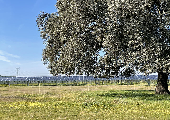 foto La energía solar alcanza un nuevo récord de reducción de emisiones en España y refuerza su papel esencial frente al cambio climático.