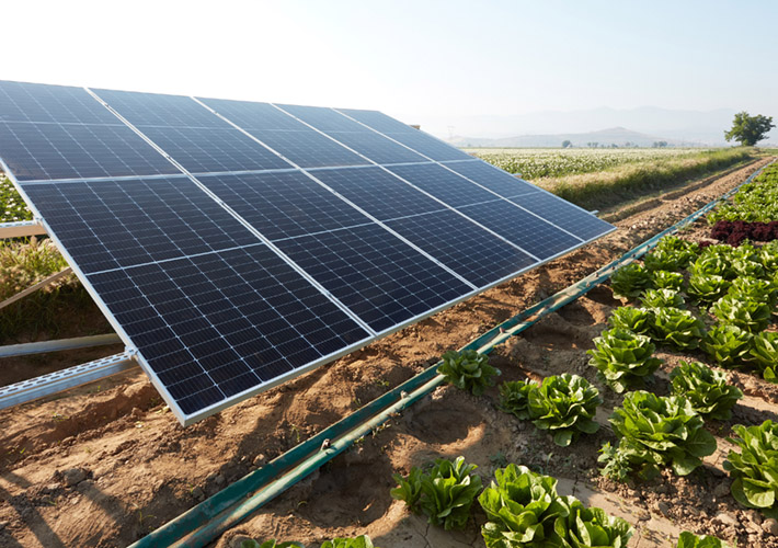 foto ABB anuncia la ampliación de potencia del variador de frecuencia ACQ80 para el bombeo solar, ahora disponible en configuraciones IP21 e IP55 hasta 200 kW.