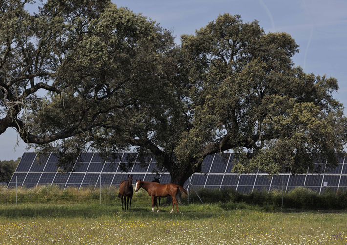 Foto UNEF otorga el Sello de Excelencia en Sostenibilidad a la planta fotovoltaica Talayuela II de Statkraft, en Cáceres.