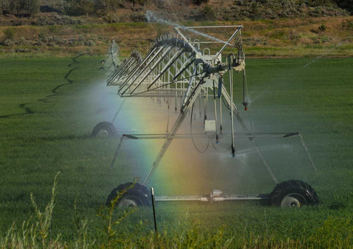 foto Recuperación agua pluvial para riego: un enfoque sostenible para un uso consciente.