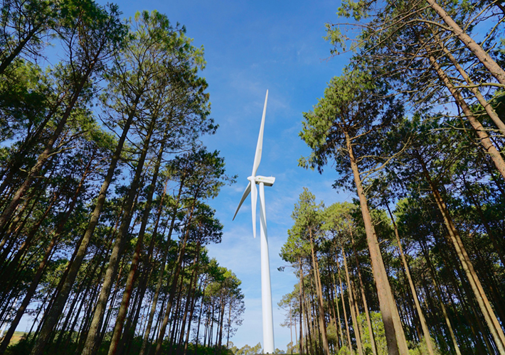 foto El parque eólico más grande de Portugal: Iberdrola obtiene la licencia de producción y la construcción avanza en 2025