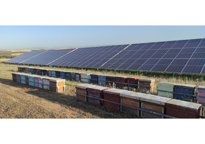 foto Iberdrola obtiene el sello de excelencia para la sostenibilidad de UNEF en su planta fotovoltaica de Barcience en Bargas (Toledo).
