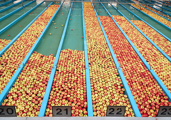 foto Informe de aplicación. Cuando las manzanas se van a nadar.