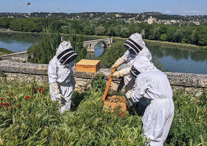 foto ABAS BS apoya la apicultura ecológica y apadrina 4 colmenares en Francia.