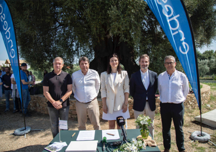 foto noticia De Teruel a Portugal, Endesa y Apadrinaunolivo firman un convenio para la recuperación de 10.000 olivos en la zona de Abrantes.