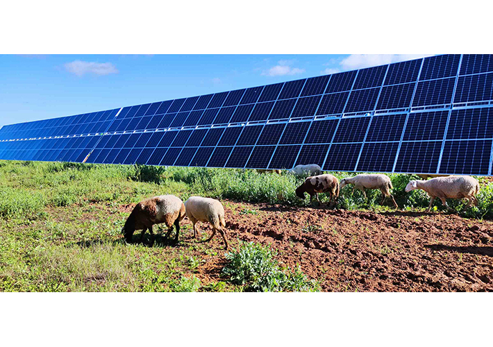 foto noticia Dos plantas solares de Endesa reciben el Sello de Excelencia para la Sostenibilidad 2022 de UNEF.