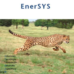 Foto EnerSYS - Sistema de Gestión Integral para compañías distribuidoras de Productos Derivados de Petróleo (Gasóleos, Gasolinas, Lubricantes...) STidea